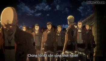tintan 6